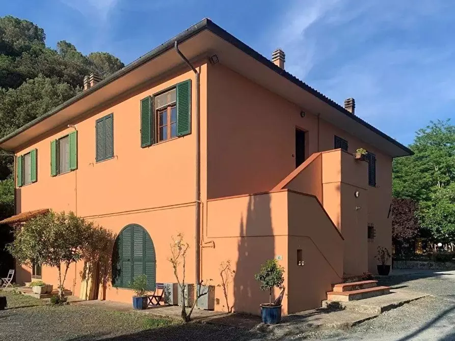 Immagine 2 di Casa colonica in vendita  a Casciana Terme Lari