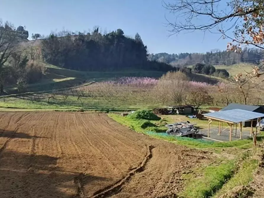Immagine 5 di Casa colonica in vendita  a Casciana Terme Lari