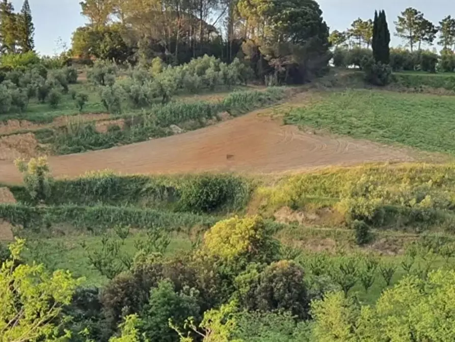 Immagine 4 di Casa colonica in vendita  a Casciana Terme Lari
