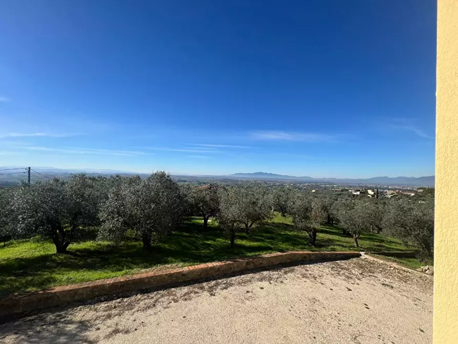 Immagine 18 di Casa colonica in vendita  a Vinci