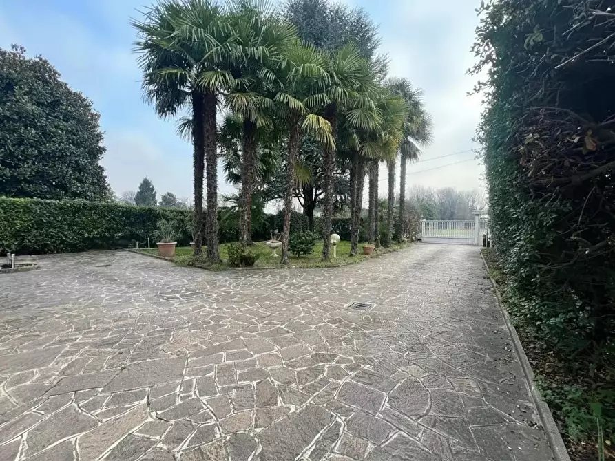 Immagine 2 di Villa in vendita  a Cairate