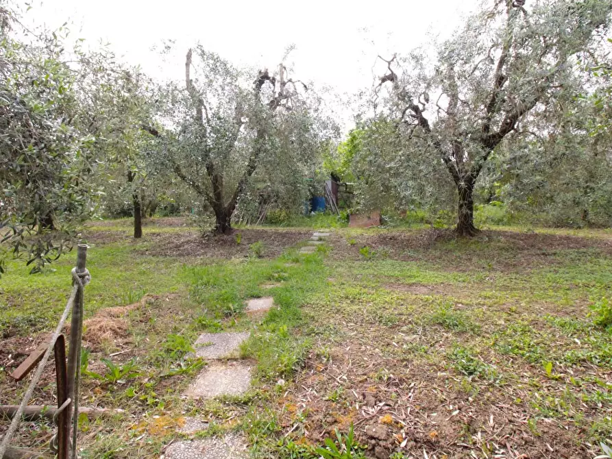 Immagine 53 di Casa quadrifamiliare in vendita  a Peccioli