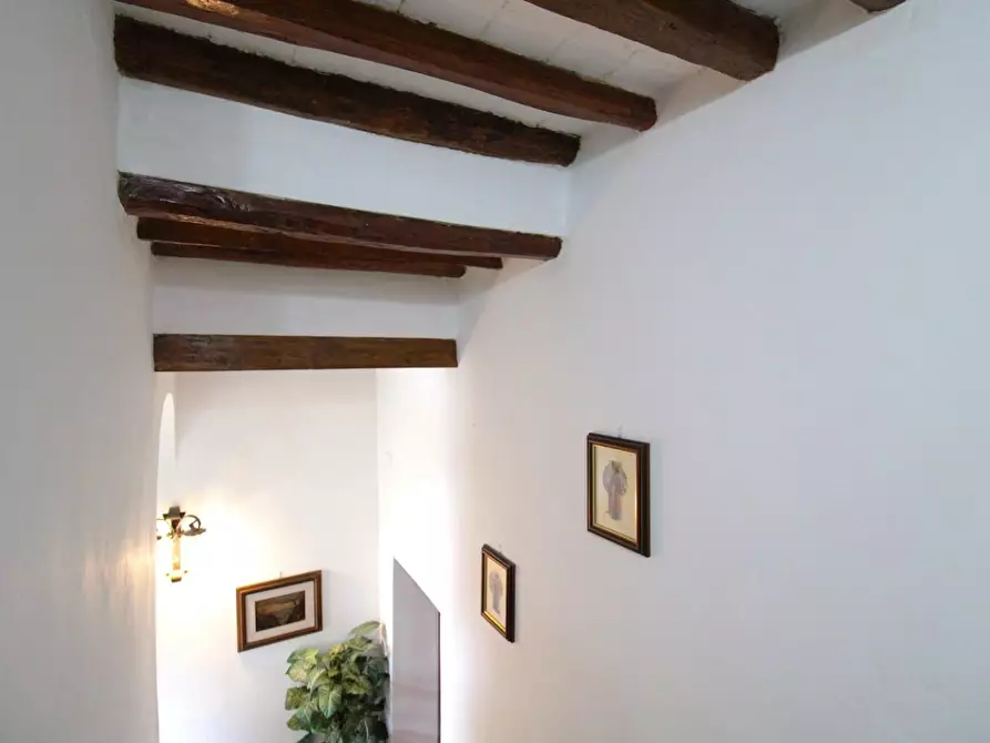 Immagine 36 di Casa quadrifamiliare in vendita  a Peccioli