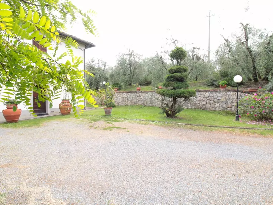 Immagine 38 di Casa quadrifamiliare in vendita  a Peccioli