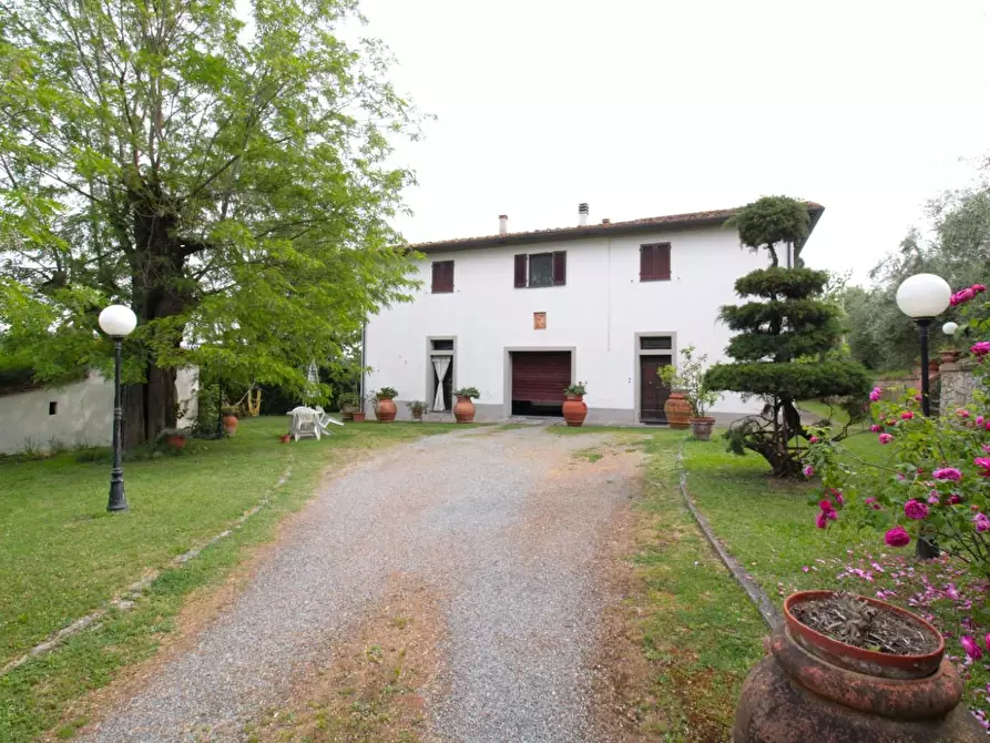 Immagine 3 di Casa quadrifamiliare in vendita  a Peccioli