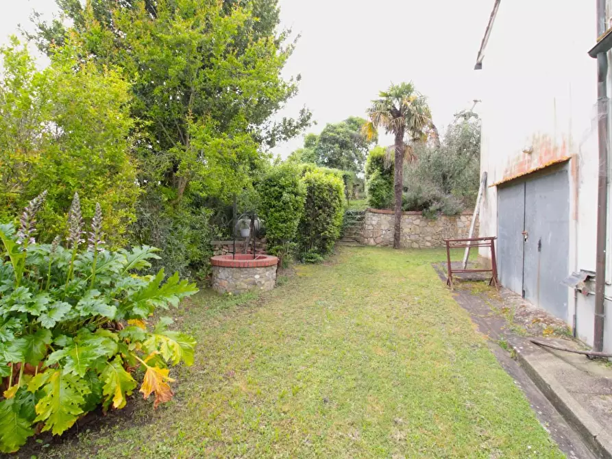 Immagine 47 di Casa quadrifamiliare in vendita  a Peccioli
