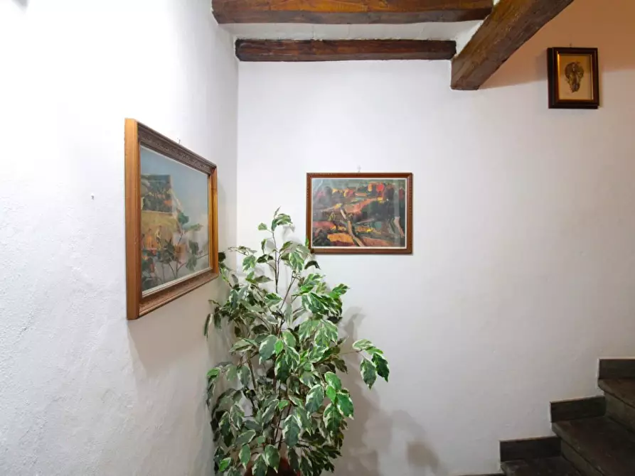 Immagine 35 di Casa quadrifamiliare in vendita  a Peccioli
