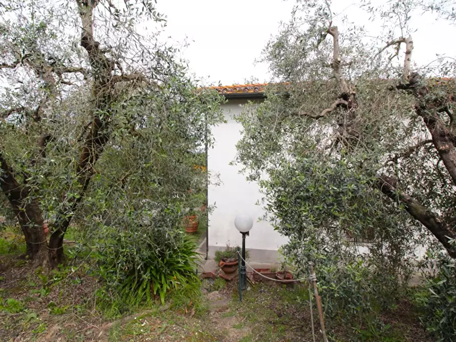 Immagine 58 di Casa quadrifamiliare in vendita  a Peccioli