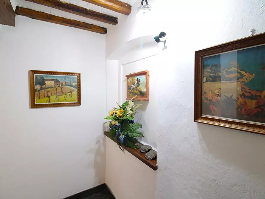 Immagine 33 di Casa quadrifamiliare in vendita  a Peccioli