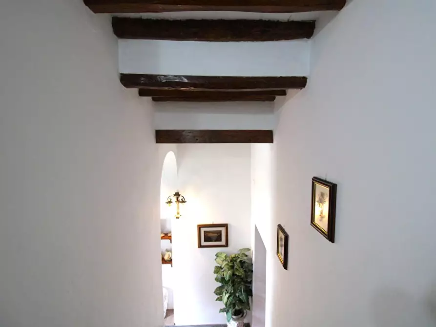 Immagine 34 di Casa quadrifamiliare in vendita  a Peccioli