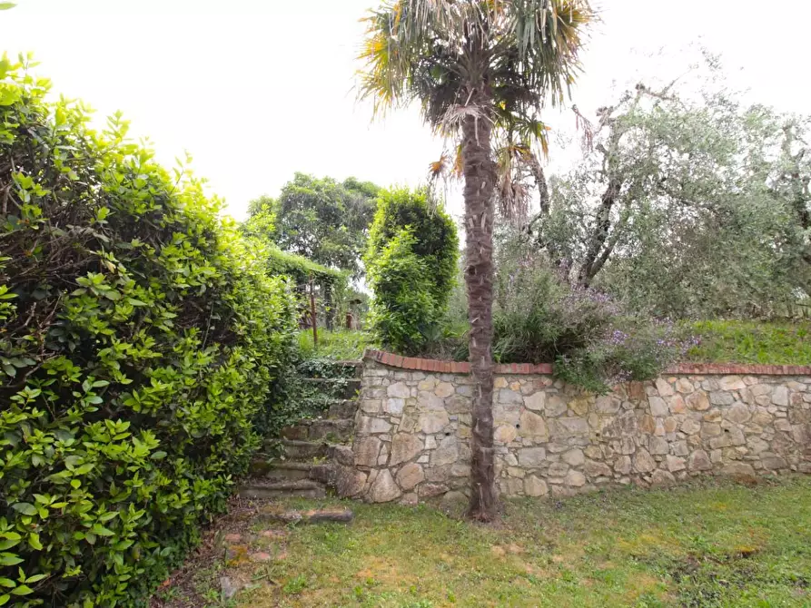 Immagine 46 di Casa quadrifamiliare in vendita  a Peccioli