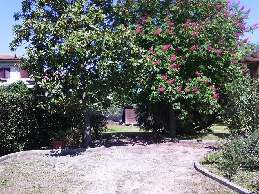 Immagine 6 di Casa indipendente in vendita  a Pietrasanta