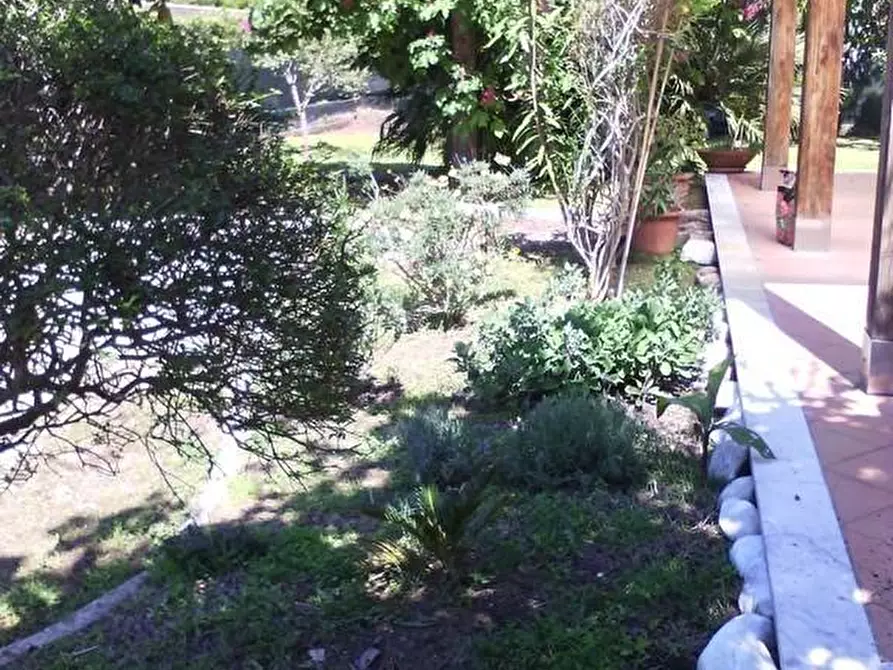 Immagine 22 di Casa indipendente in vendita  a Pietrasanta