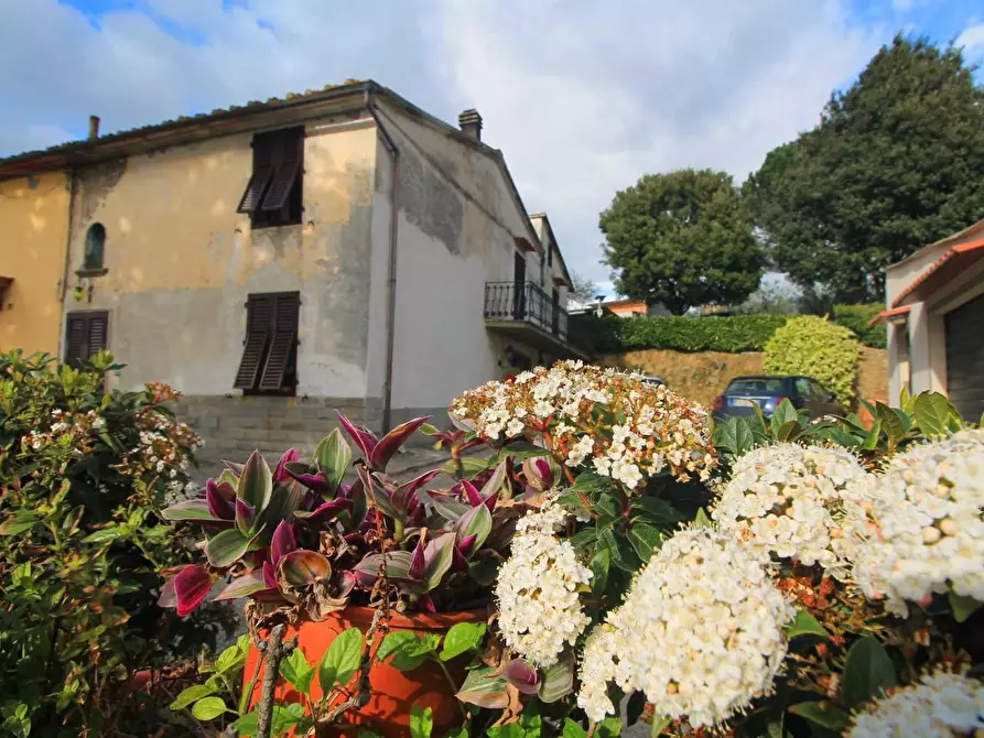 Immagine 18 di Casa colonica in vendita  a Vinci