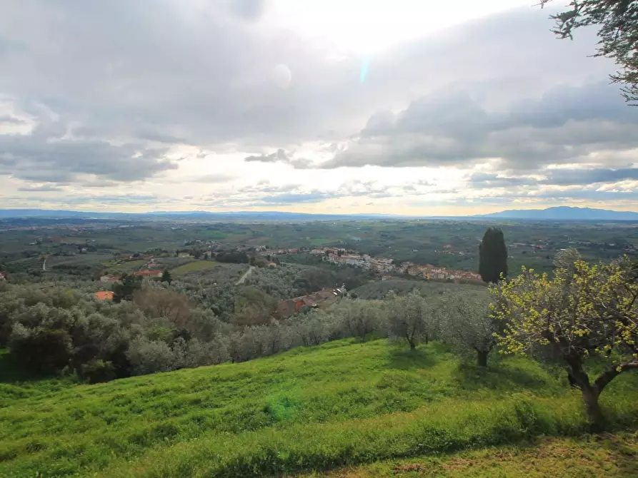 Immagine 5 di Casa colonica in vendita  a Vinci