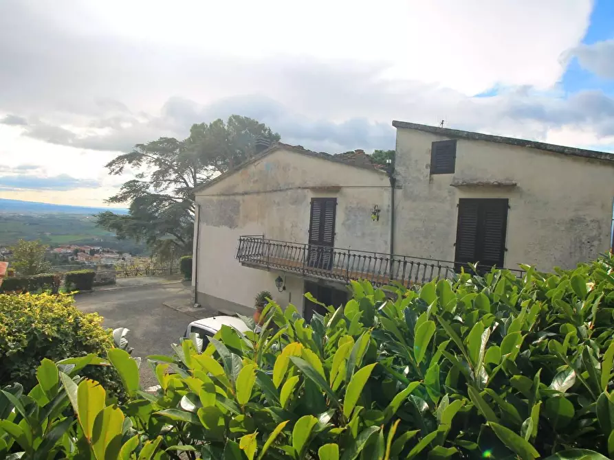 Immagine 3 di Casa colonica in vendita  a Vinci