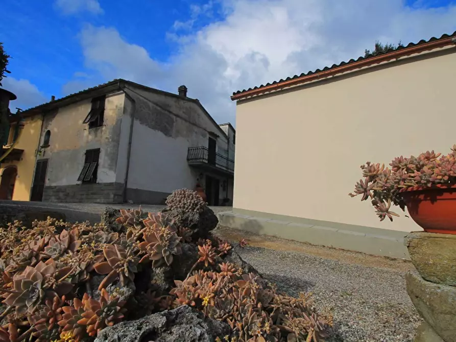 Immagine 19 di Casa colonica in vendita  a Vinci