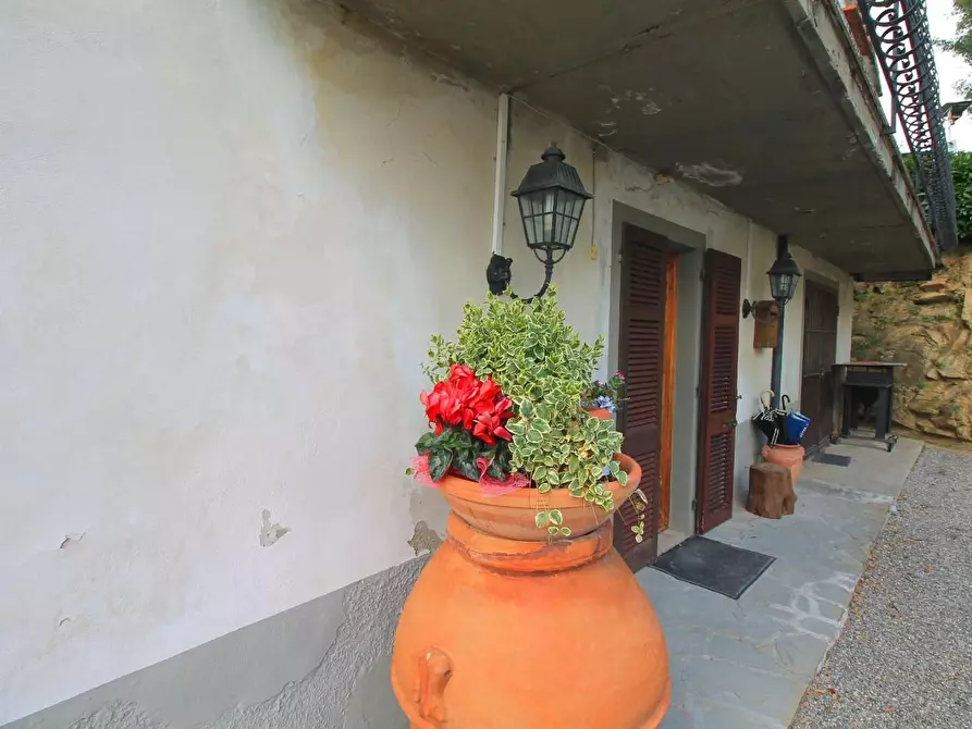 Immagine 22 di Casa colonica in vendita  a Vinci