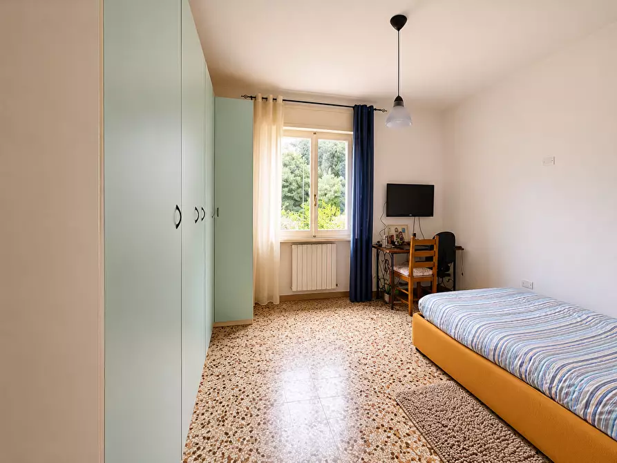 Immagine 9 di Appartamento in vendita  a Bibbona