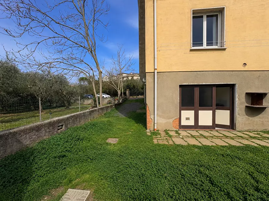 Immagine 21 di Appartamento in vendita  a Bibbona
