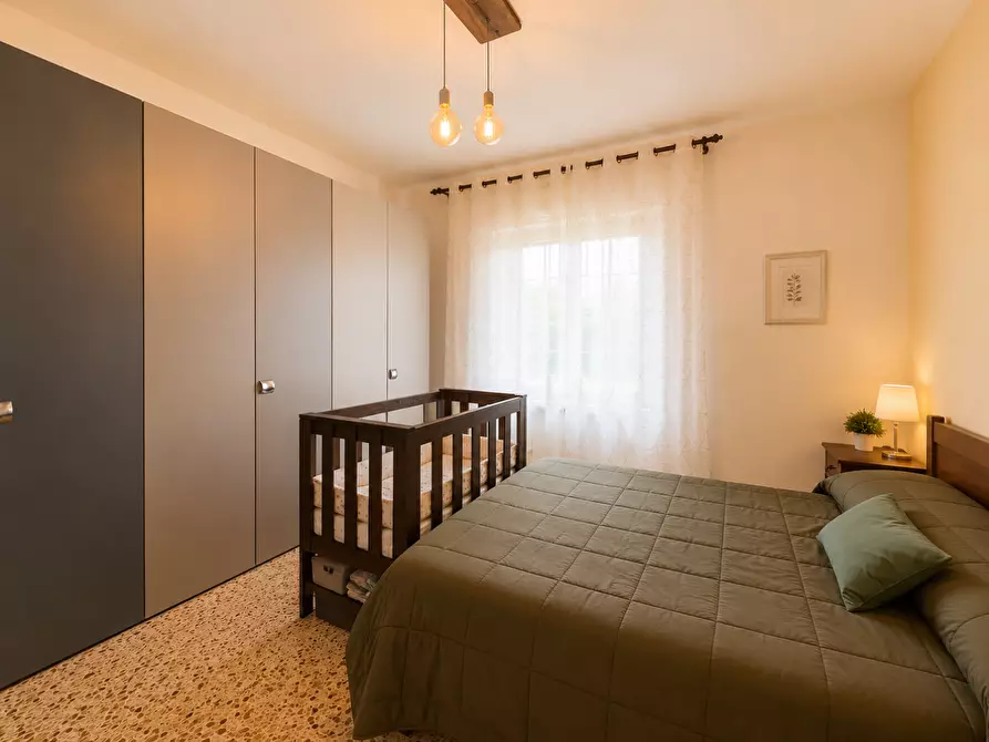 Immagine 7 di Appartamento in vendita  a Bibbona