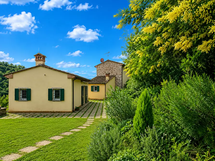 Immagine 4 di Casa colonica in vendita  a Vinci