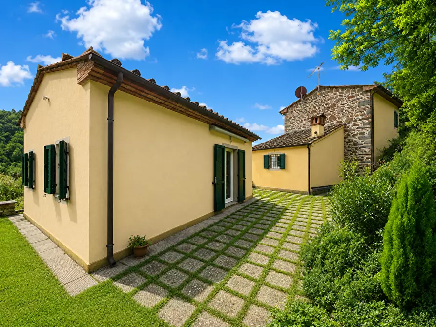 Immagine 3 di Casa colonica in vendita  a Vinci