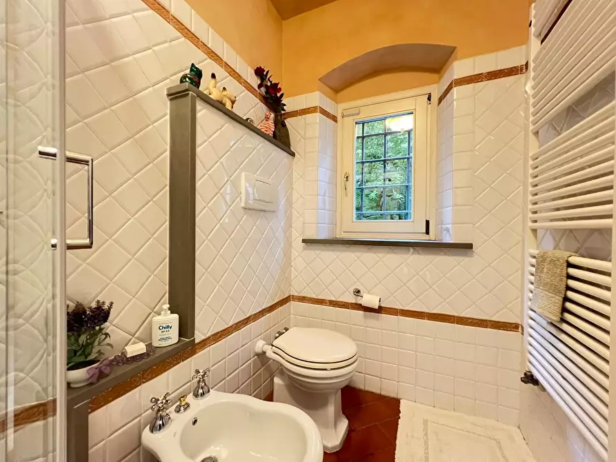 Immagine 54 di Casa colonica in vendita  a Vinci