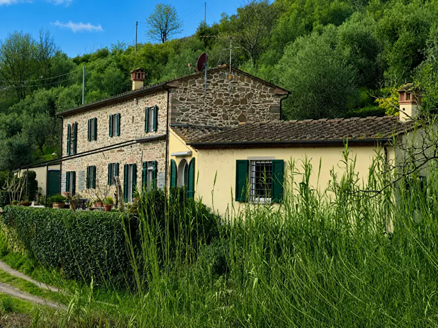Immagine 2 di Casa colonica in vendita  a Vinci