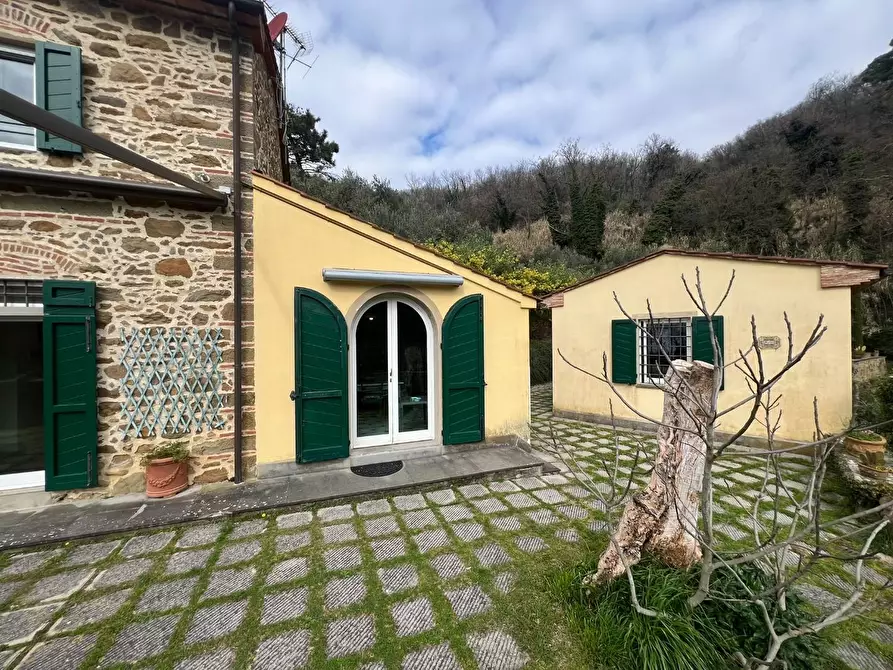 Immagine 6 di Casa colonica in vendita  a Vinci
