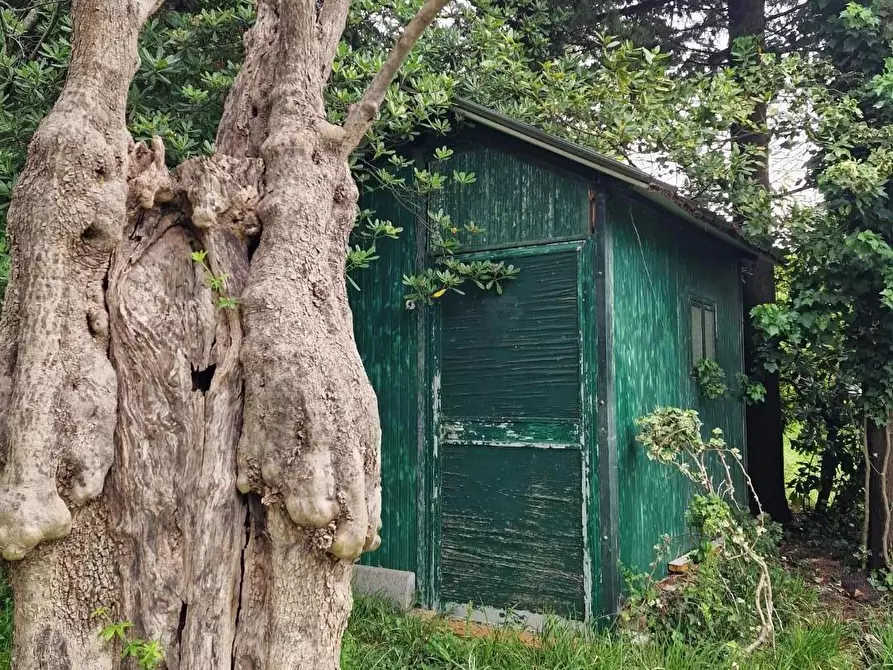 Immagine 6 di Terreno agricolo in vendita  a Ortonovo