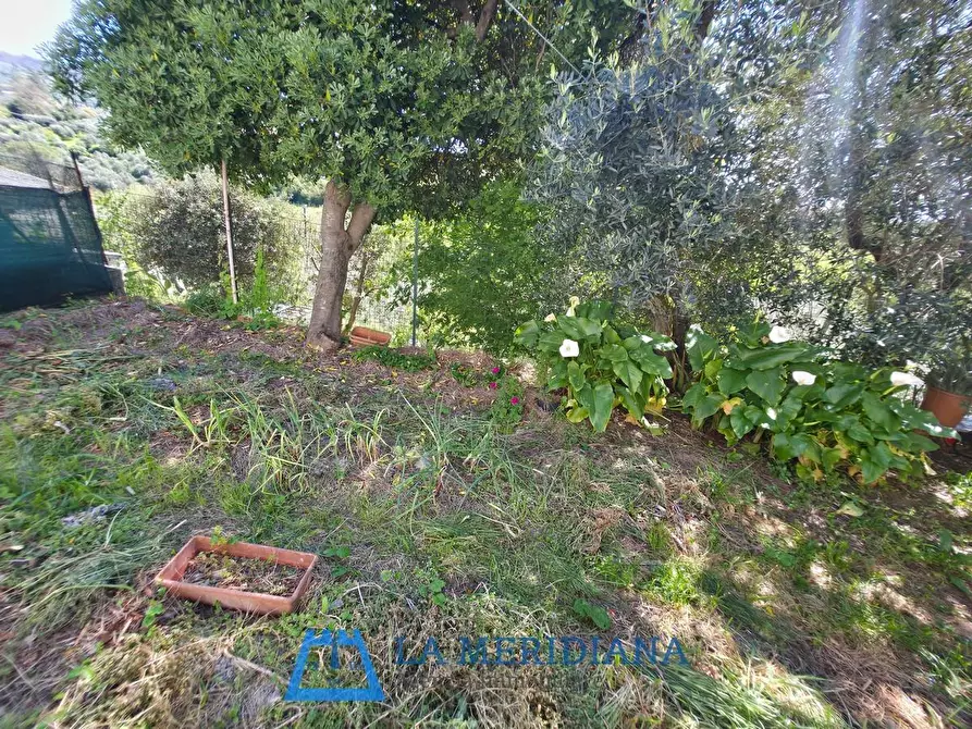 Immagine 14 di Appartamento in vendita  a Lamporecchio