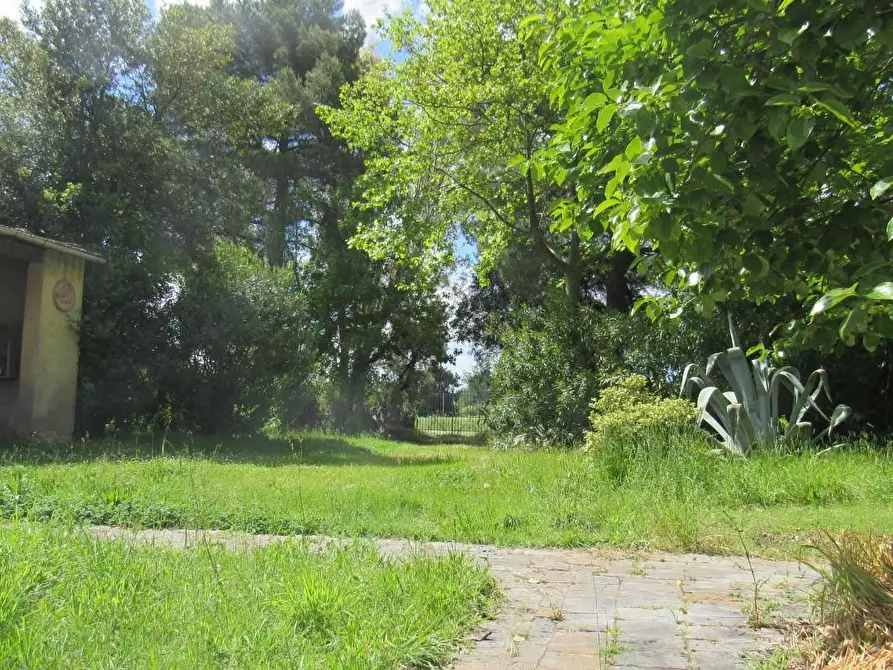 Immagine 53 di Villa in affitto  a Cascina