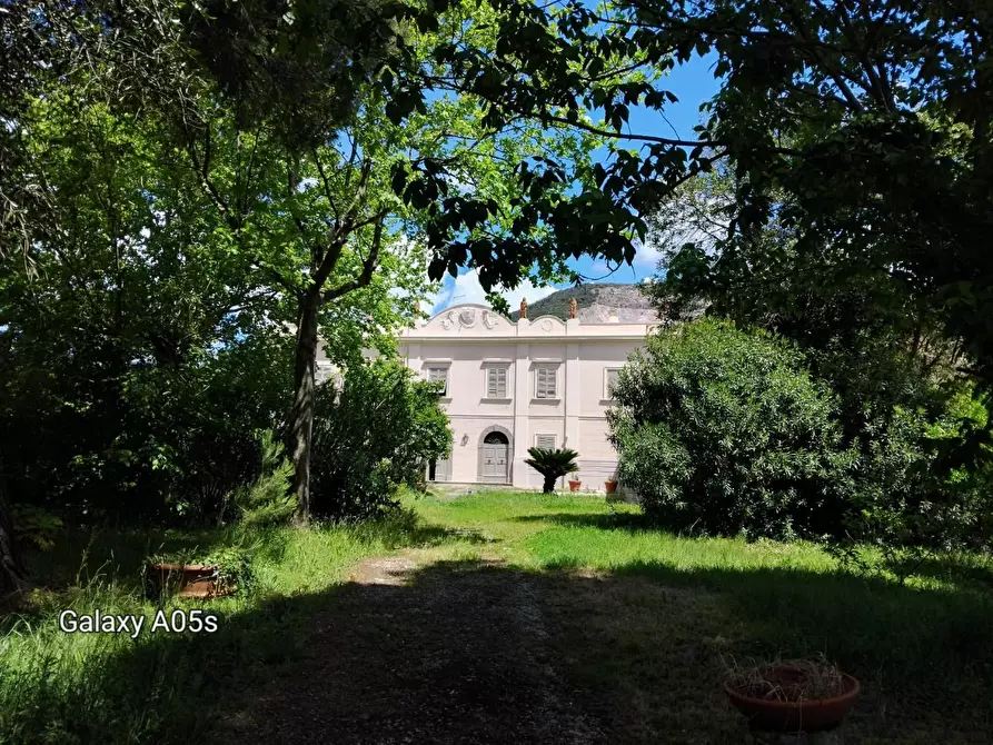 Immagine 3 di Villa in affitto  a Cascina