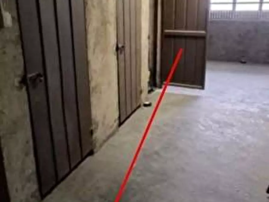 Immagine 13 di Appartamento in vendita  a Bresso