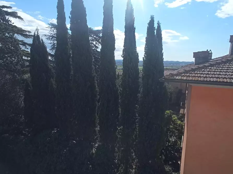 Immagine 15 di Appartamento in vendita  a Santa Maria A Monte