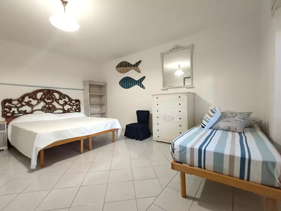 Immagine 16 di Appartamento in affitto  a San Vincenzo