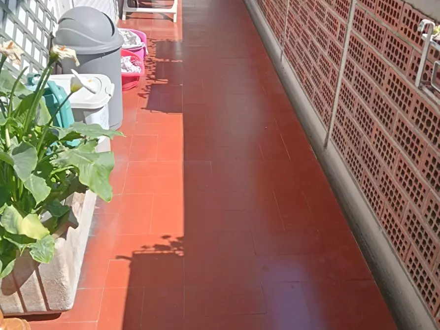Immagine 22 di Casa indipendente in vendita  a Carrara