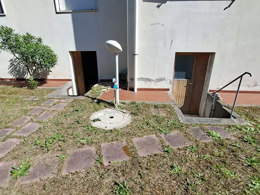 Immagine 3 di Appartamento in vendita  a Rosignano Marittimo
