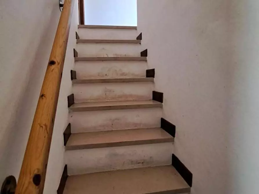 Immagine 19 di Appartamento in vendita  a Rosignano Marittimo