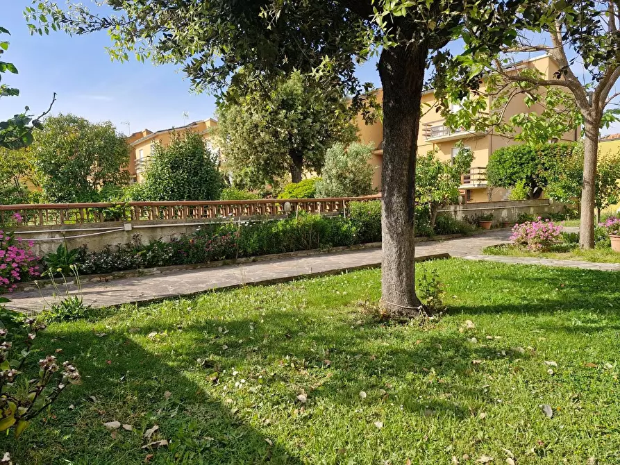 Immagine 16 di Villetta a schiera in vendita  a Campiglia Marittima