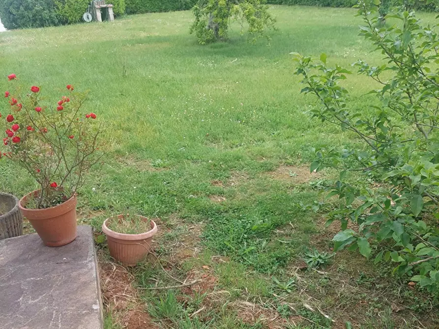 Immagine 2 di Villa in vendita  a Castelfranco Di Sotto