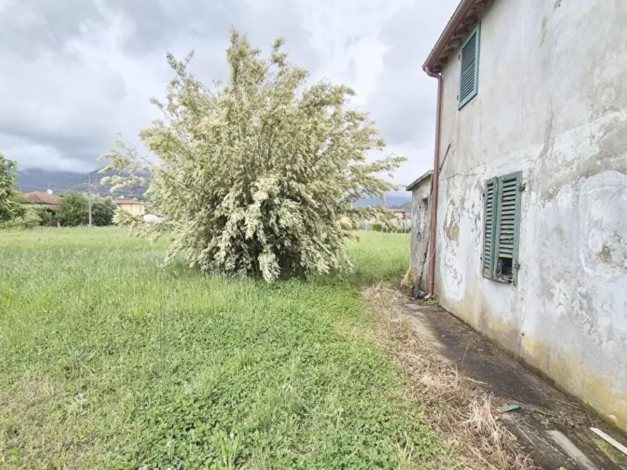 Immagine 9 di Rustico / casale in vendita  a Camaiore