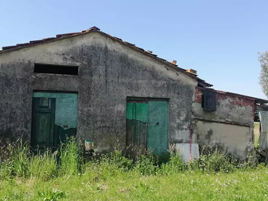 Immagine 11 di Rustico / casale in vendita  a Camaiore