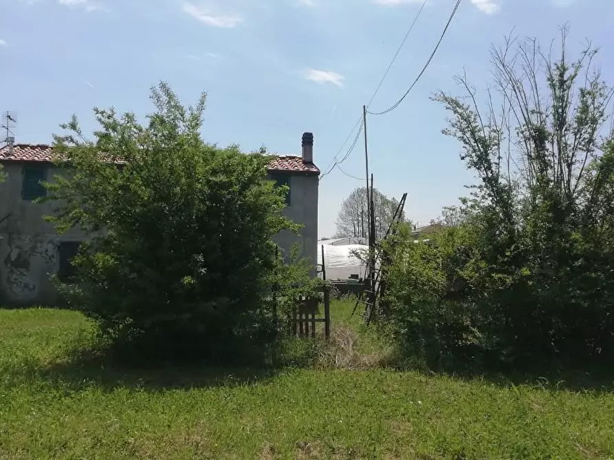 Immagine 5 di Rustico / casale in vendita  a Camaiore