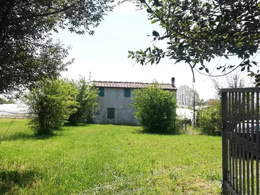 Immagine 2 di Rustico / casale in vendita  a Camaiore