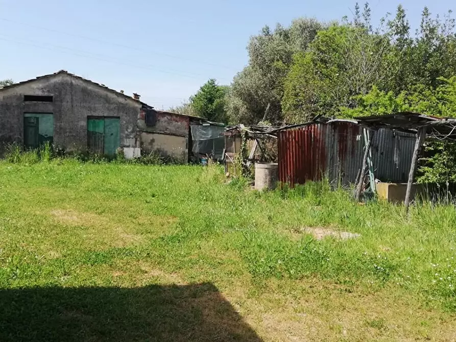 Immagine 10 di Rustico / casale in vendita  a Camaiore