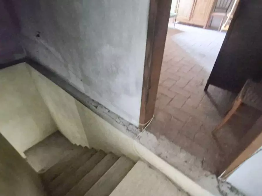 Immagine 35 di Rustico / casale in vendita  a Camaiore