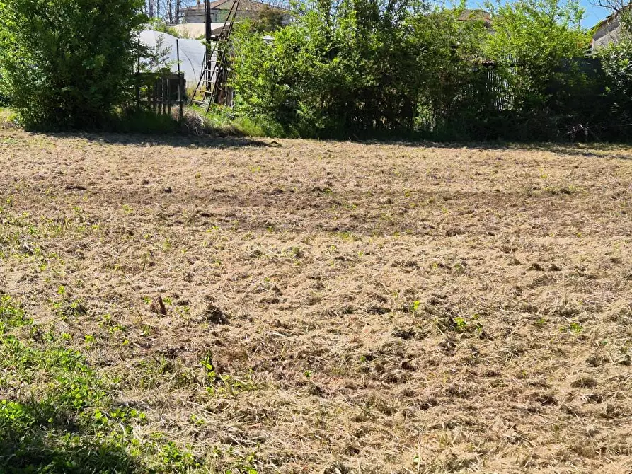 Immagine 13 di Rustico / casale in vendita  a Camaiore