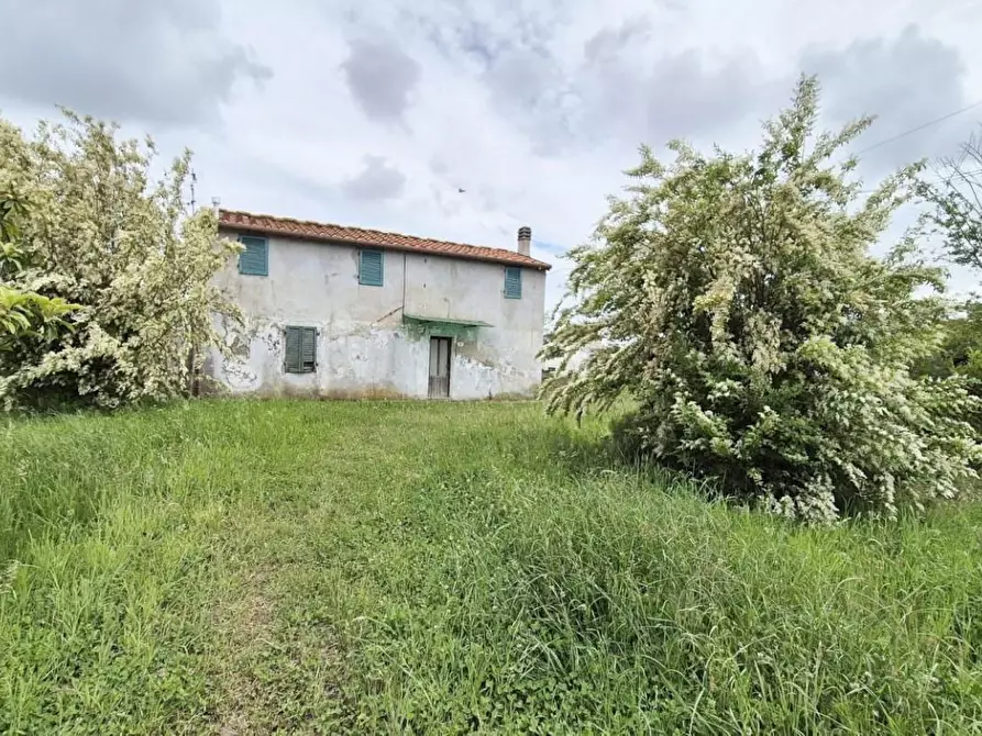 Immagine 6 di Rustico / casale in vendita  a Camaiore
